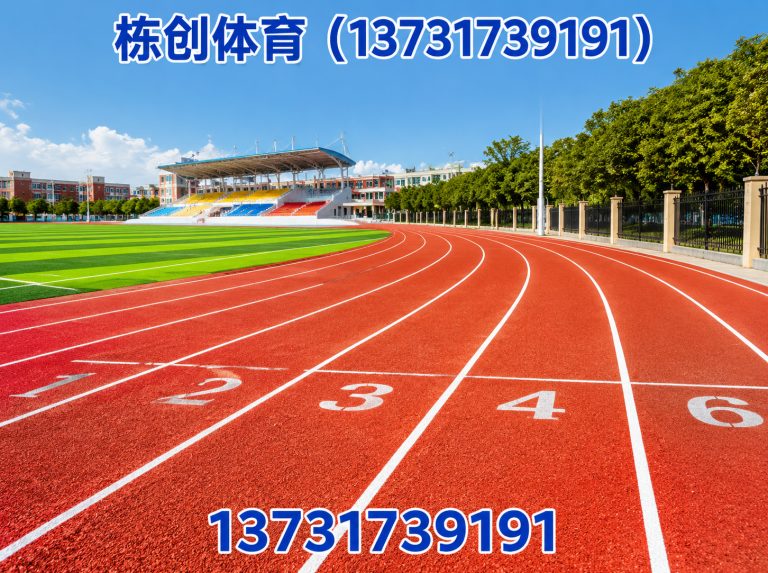 河北栋创体育展示图